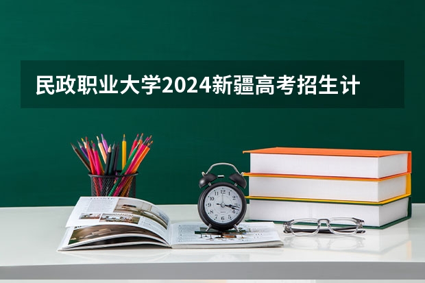 民政职业大学2024新疆高考招生计划详解