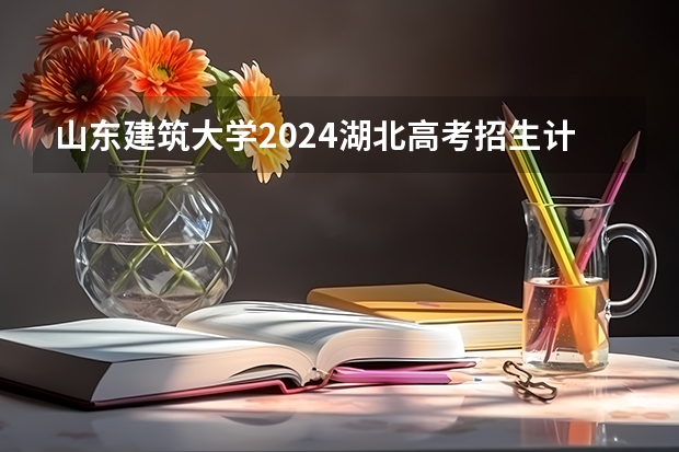 山东建筑大学2024湖北高考招生计划详解