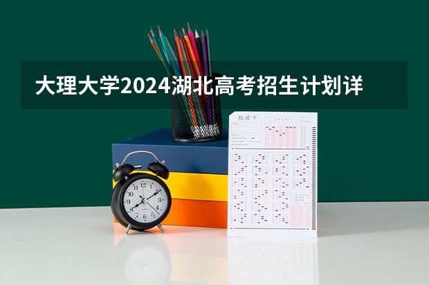 大理大学2024湖北高考招生计划详解