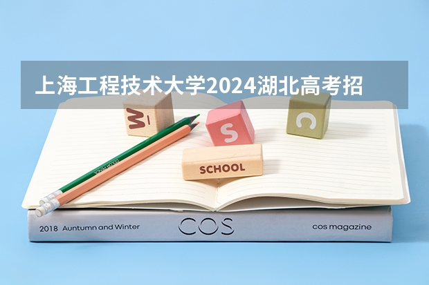 上海工程技术大学2024湖北高考招生计划详解
