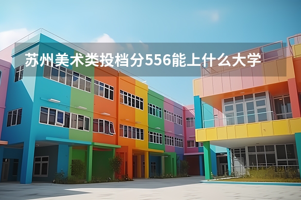 苏州美术类投档分556能上什么大学？