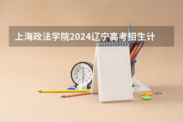 上海政法学院2024辽宁高考招生计划详解