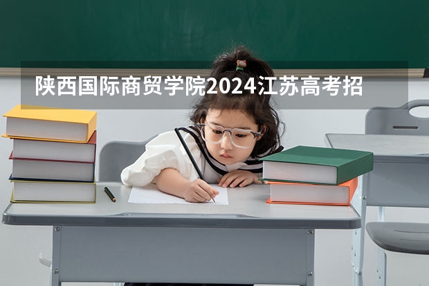 陕西国际商贸学院2024江苏高考招生计划详解