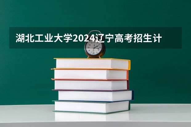 湖北工业大学2024辽宁高考招生计划详解
