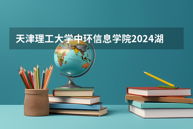 天津理工大学中环信息学院2024湖北高考招生计划详解