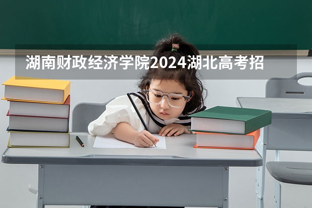 湖南财政经济学院2024湖北高考招生计划详解