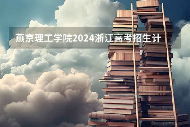 燕京理工学院2024浙江高考招生计划详解