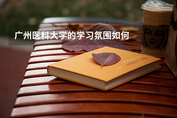广州医科大学的学习氛围如何