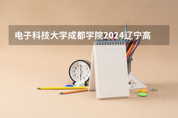 电子科技大学成都学院2024辽宁高考招生计划详解