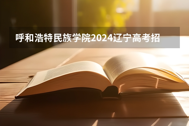呼和浩特民族学院2024辽宁高考招生计划详解