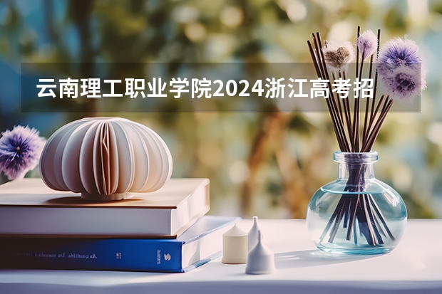 云南理工职业学院2024浙江高考招生计划详解