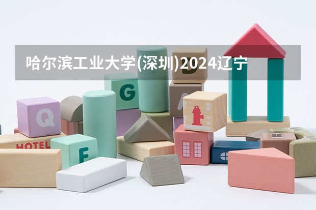 哈尔滨工业大学(深圳)2024辽宁高考招生计划详解