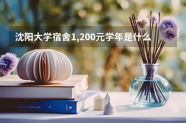 沈阳大学宿舍1,200元/学年是什么样子的啊！我今年考上了沈大对学校不是很了解！