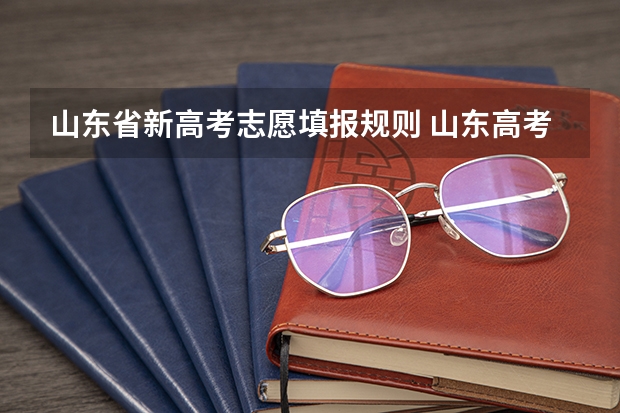 山东省新高考志愿填报规则 山东高考填报志愿可以填几个