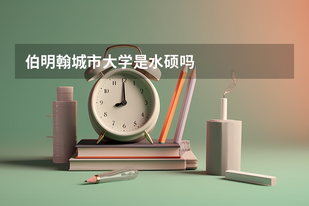 伯明翰城市大学是水硕吗