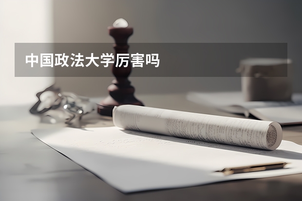 中国政法大学厉害吗