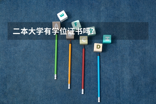 二本大学有学位证书吗？