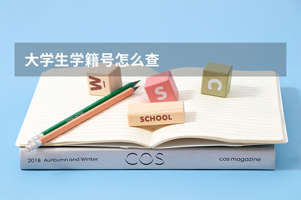 大学生学籍号怎么查