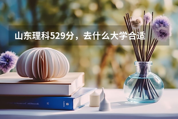 山东理科529分，去什么大学合适