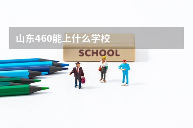 山东460能上什么学校