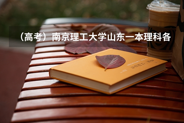 （高考）南京理工大学山东一本理科各专业的录取分数线是多少（急，各位帮帮忙啦）