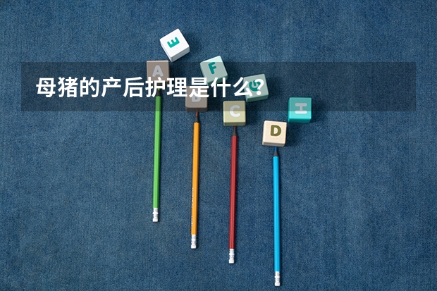 母猪的产后护理是什么？