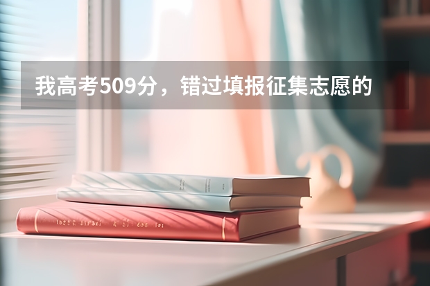 我高考509分，错过填报征集志愿的机会，该怎么办啊？？？我还可以征集那些学校啊？？急急急急！！！！