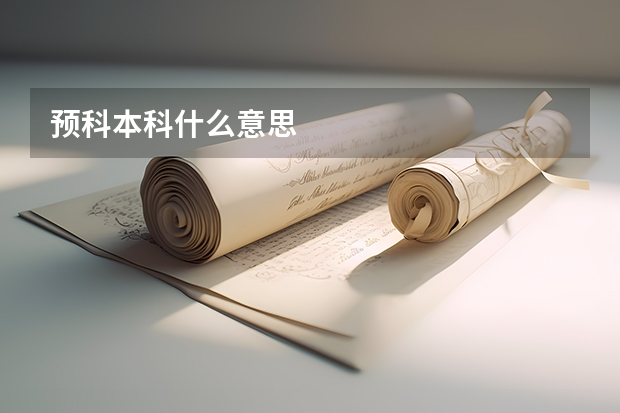 预科本科什么意思