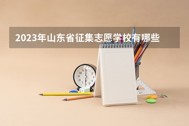 2023年山东省征集志愿学校有哪些？