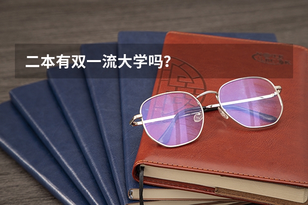 二本有双一流大学吗？