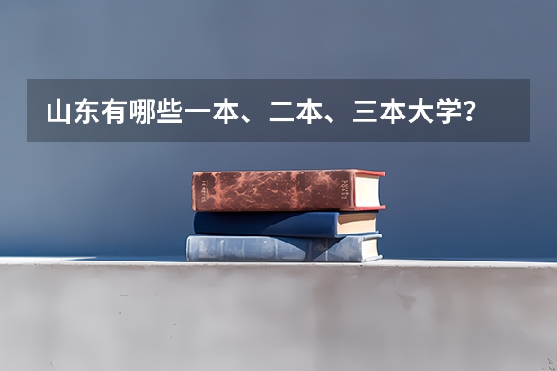 山东有哪些一本、二本、三本大学？