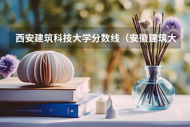 西安建筑科技大学分数线（安徽建筑大学录取分数线）
