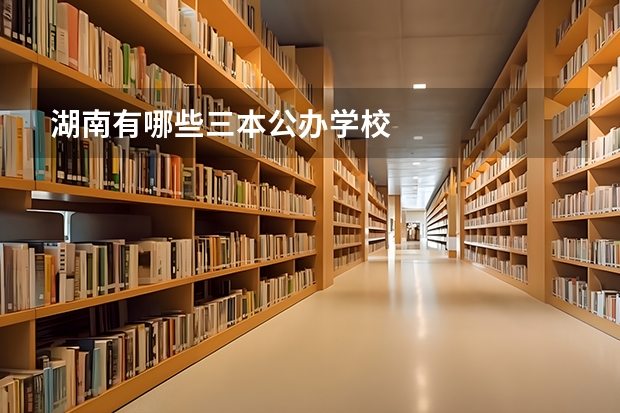 湖南有哪些三本公办学校