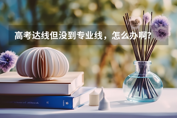 高考达线但没到专业线，怎么办啊？