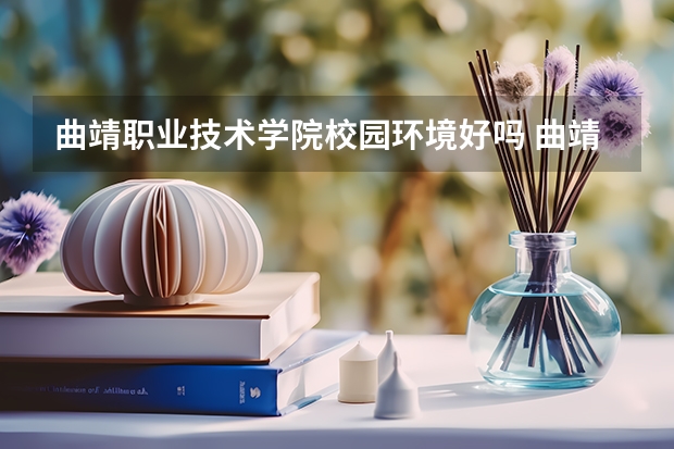 曲靖职业技术学院校园环境好吗 曲靖职业技术学院学费贵不贵