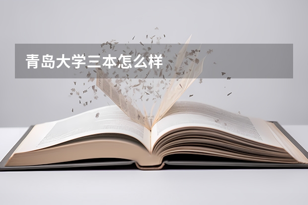 青岛大学三本怎么样