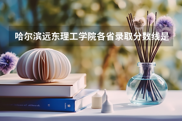 哈尔滨远东理工学院各省录取分数线是多少