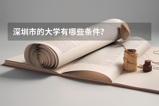深圳市的大学有哪些条件？