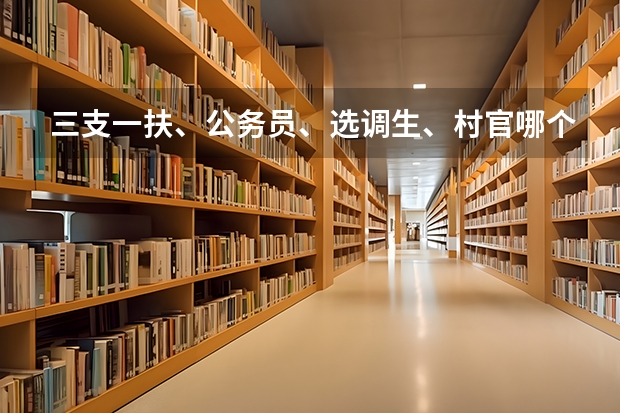 三支一扶、公务员、选调生、村官哪个待遇好？