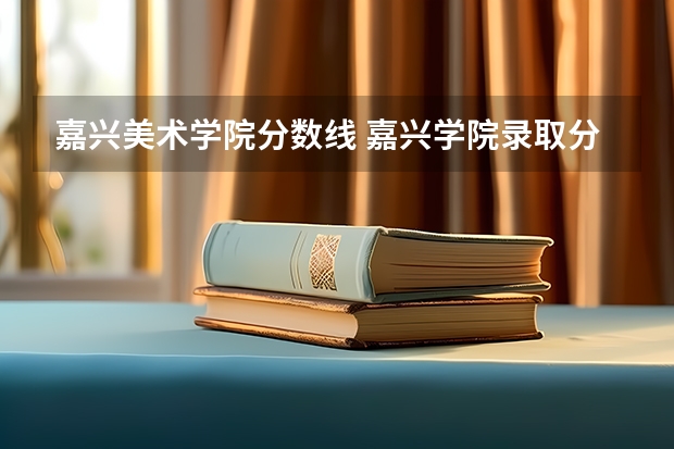 嘉兴美术学院分数线 嘉兴学院录取分数线