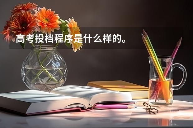 高考投档程序是什么样的。