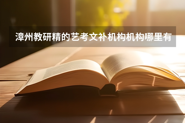 漳州教研精的艺考文补机构机构哪里有？谁比较了解这一方面的内容吗？