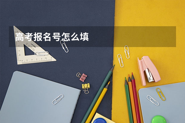 高考报名号怎么填
