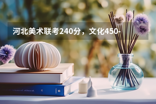 河北美术联考240分，文化450-500.根据联考成绩可以报考哪些院校