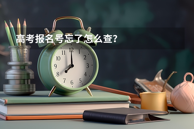 高考报名号忘了怎么查？