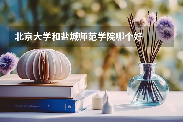 北京大学和盐城师范学院哪个好