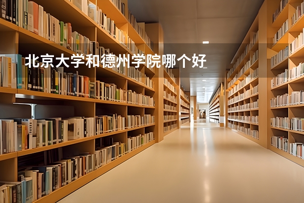 北京大学和德州学院哪个好