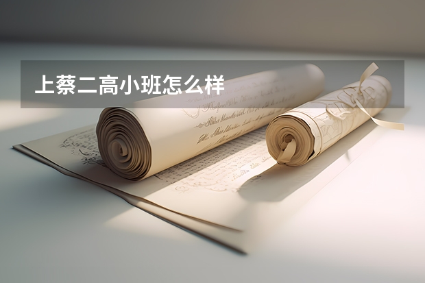上蔡二高小班怎么样