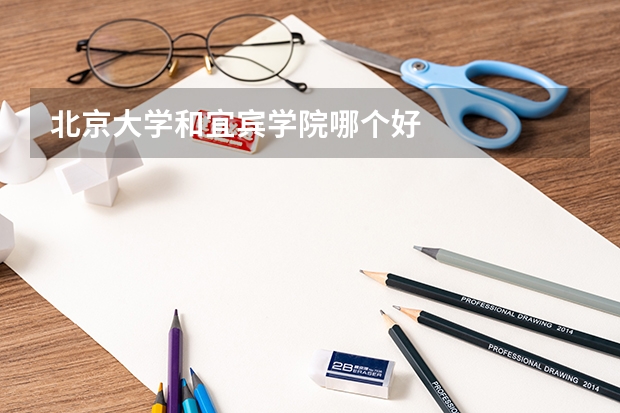 北京大学和宜宾学院哪个好