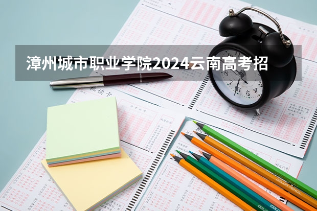 漳州城市职业学院2024云南高考招生计划详解